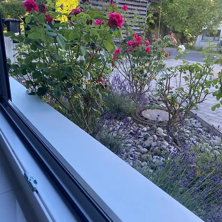 Apartment Am Brasselsberg Mit Parkplatz *